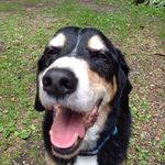 Jennifer Brittig Embrey - @jennie8315 - Instagram