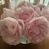 jenniferenglertde - @jenniferenglertde - TikTok