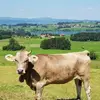 Jennifer Erdmann395 - @jennifererdmann39 - TikTok
