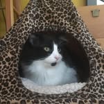 Jennifer Ess - @iheartbeinghome - Instagram