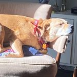 Jennifer Eure - @wheneurehereeurefamily - Instagram