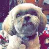 Jennifer Ferry Holbr - @jenniferferryholbrook - TikTok