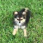 Jennifer Frady - @jenn_frady36 - Instagram