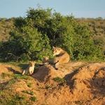 Jennifer Fromme - @jenniferfromme - Instagram