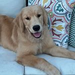 Jennifer Frommer - @jenniferfrommer - Instagram