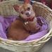 Jennifer Marie Schlegel - Facebook