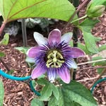 Jennifer Gammon Donovan - @jendon41 - Instagram