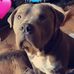 Jenna Gemmill - Facebook