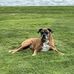Jennifer Geraghty - Facebook