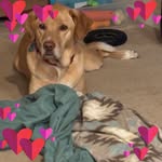 Jennifer Eberlin Germann - @jennifer.a.germann - Instagram