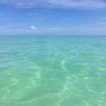Jennifer Gluckman - @jennifergluckman - Instagram