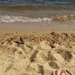 Jennifer Padgett Grable - @jengrable - Instagram