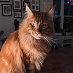 Jennifer Gracey - @graceylove15 - Instagram