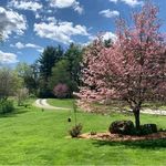 Jennifer Booth Greenson - @jennifer.b.greeson - Instagram