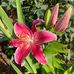 Jennifer Booth Greeson - Facebook