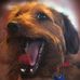 Jennifer Gregson - Facebook