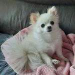 Jennifer L Grindle - @jgrindle78 - Instagram