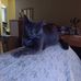 Jennifer Guay - Facebook