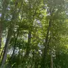 Jennifer Guay - @jennifer.guay0 - TikTok