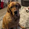 Jennifer Guilds - @jennifer.guilds - TikTok