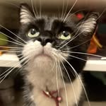 Jennifer Wright Hackworth - @jenniferhackworth75 - Instagram