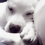 Jennifer Halbert - @halbert1741 - Instagram