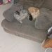 Jennifer Hastings - Facebook