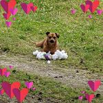 Jennifer Hatley - @jjeanhatley - Instagram