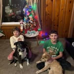 Jennifer Heasley - @groomerjheasley - Instagram