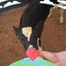 Jennifer Heasley - Facebook