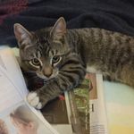 Jennifer Hebert - @jenh326 - Instagram