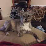Jennifer Hebert - @jennbear73 - Instagram