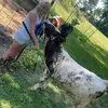 Ansley and Berry - @jenniferheeg - TikTok