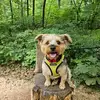 Jennifer Heidlebaugh - @jennifer.heidleba0 - TikTok