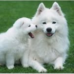 jenniferheidin - @jenniferheidin - Instagram