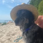 Jennifer Hellmann - @jenny.duke.zippo.houdini - Instagram