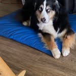 Jennifer Ann Honig - @jenarivergirl - Instagram