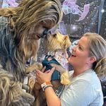 Jennifer Honig - @glassslipper10 - Instagram