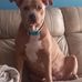 Jenny Howze - Facebook