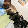 humhumblejennifer - @humhumblejennifer - TikTok