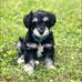Jennifer Iles - Facebook