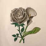 Jennifer_Iris_Cliver - @jennifer_iris_cliver - Instagram