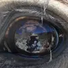 Jennifer Jerrell93 - @jennjiv - TikTok
