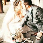 Jennifer Jerrell - @jjmarshmallowpup - Instagram