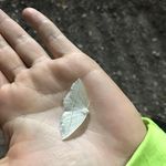 Jennifer Lynn - @jennifer.karchnermccracken - Instagram