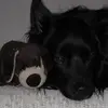 jenniferkarcher02 - @jenniferkarcher02 - TikTok