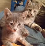 Jennifer Keizer - Facebook