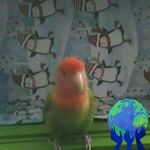 Jennifer Kellner - @puddyfoots - Instagram