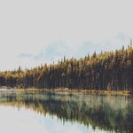 Jennifer Kellner Hirst - @hirstjennifer6 - Instagram