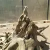 jenniferkiesel86 - @jenniferkiesel86 - TikTok